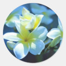 Search for hawaiian lei stickers Aloha