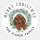 Search for dachshund christmas stickers Merry