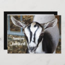 Search for baby goat invitations Cute