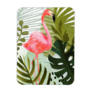 Search for flamingo magnets Tropical