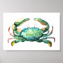 Search for blue crab posters Watercolor