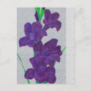 Search for gladiolus postcards Plants