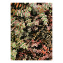 Search for exotic plants posters Boho