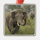 Search for indian elephant christmas tree decorations Asia
