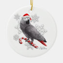 Search for african grey parrot christmas tree decorations Cute