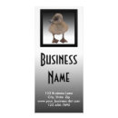 Search for greys rack cards Customer