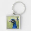 Search for peacock photo key rings Animal