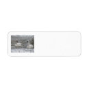Search for swan bird return address labels White