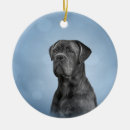 Search for mastiff christmas tree decorations Cute