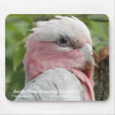 Search for galahs mousepads Cockatoo