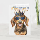 Search for funny dachshund birthday cards Dogs