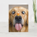 Search for funny dog humour cards Pet