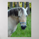 Search for norwegian posters Animal