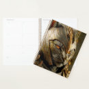 Search for felines office supplies For him