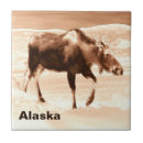 Search for moose tiles Wildlife