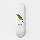 Search for parrot skateboards Colourful