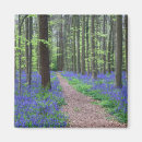 Search for beeches magnets Landscape