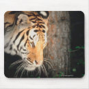 Search for stalking mousepads Animal