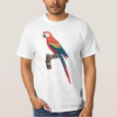 Search for ara tshirts Parrot