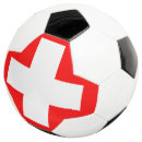 Search for basel Flag