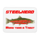 Search for fly fishing magnets Salmon