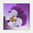 Search for pansies magnets Purple