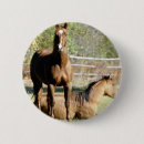 Search for horse badges Equine