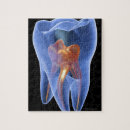 Search for cross section Digitally generated image
