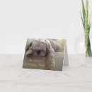 Search for missing persons cards Photography
