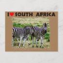 Search for zebra heart Nature