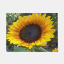 Search for sunflower garden outdoor Plant