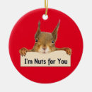 Search for nuts christmas tree decorations Squirrel