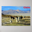 Search for chilean posters Andes