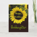 Search for happy birthday goddaughter Floral