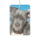 Search for pitbull car air fresheners Dogs