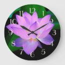 Search for lotus clocks Water lily