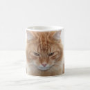 Search for tabby cat mugs Orange