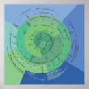 Search for timeline posters Universe