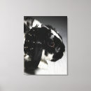 Search for collar canvas prints Nature