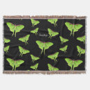 Search for bug home decor Moth