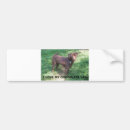 Search for black and white photo bumper stickers Cute