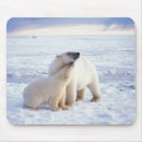 Search for pack mousepads Bear