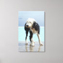 Search for wet canvas prints Dog