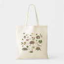 Search for possum bags Nature