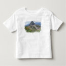 Search for machu picchu tshirts Incas