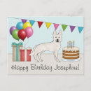 Search for suisse cards Dog