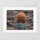 Search for thumb postcards Desert