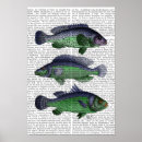 Search for antique fish print posters Steampunk