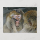 Search for baby tooth postcards Dentist