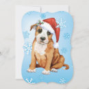 Search for staffordshire bull terrier christmas cards Puppy